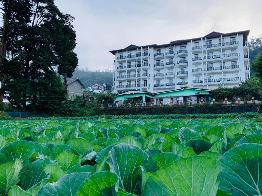 The Teak By Lakbima Apartment Nuwara Eliya Ngoại thất bức ảnh